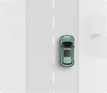 Autonomous Driving